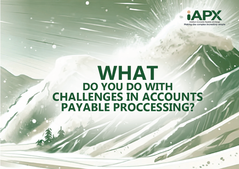 Delve into the world of Accounts Payable Processing with iAPX.